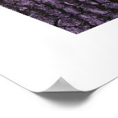 トレイルアットダンバーケーブ州パーク ポスター (角)