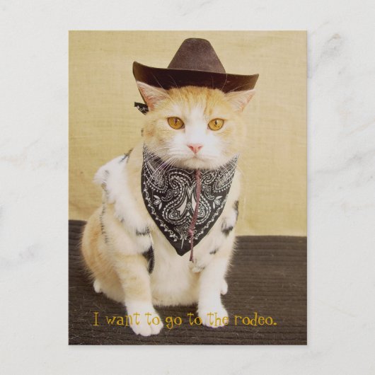 トレイルライダーババ ポストカード (正面)