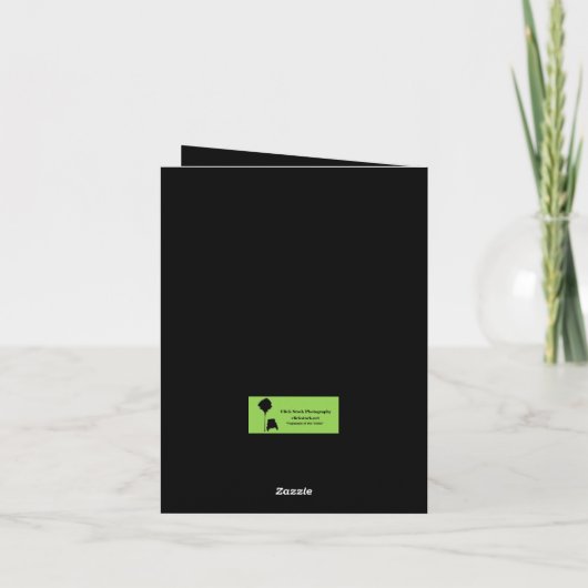 トレイルライディング9空白のグリーティングカード サンキューカード (裏面)