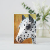 "トレイルライド"アパロサ馬 ポストカード (スタンド正面)