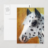 "トレイルライド"アパロサ馬 ポストカード (正面/裏面)