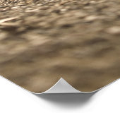 トレイルランニングのポスター ポスター (角)