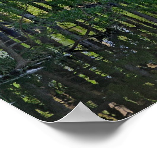 トレイル ポスター (角)