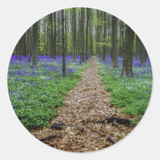 トレイル ラウンドシール (正面)