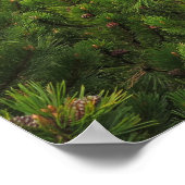 トレイル – Tatras Slovia ポスター (角)