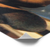 トレイング・ウォーカーコンハウンド ポスター (角)