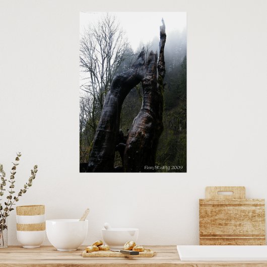 トレギナ ポスター (キッチン)