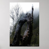 トレギナ ポスター (正面)