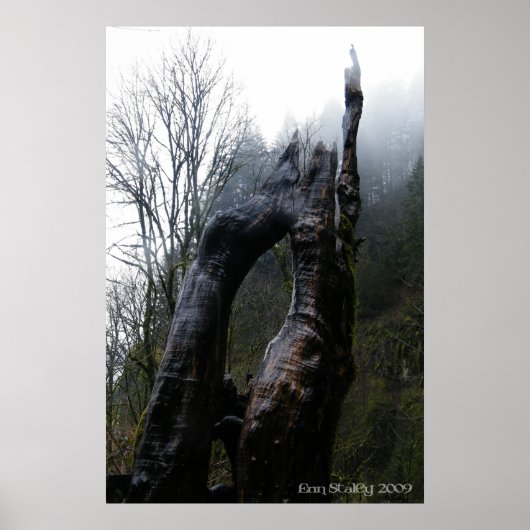 トレギナ ポスター (正面)