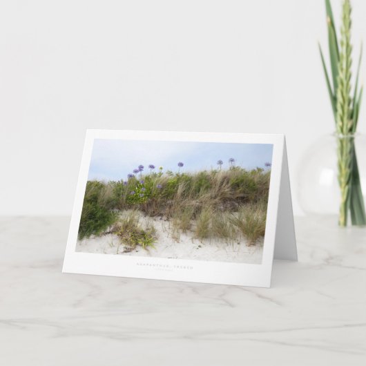 トレスコ·アガパンサス カード (正面)