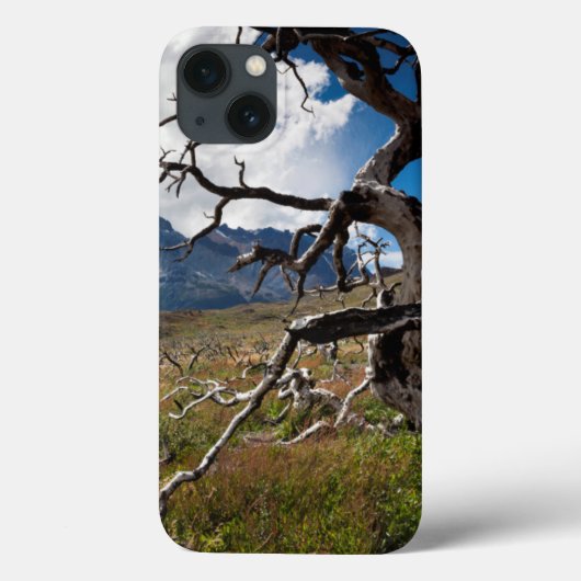 トレスデルペイン国立公園、火災で被害を受けた木々 Case-Mate iPhoneケース (裏面)