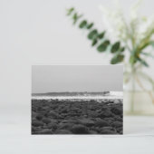 トレストルズ,サンオノフレ州ビーチ, CA, USA ポストカード (スタンド正面)