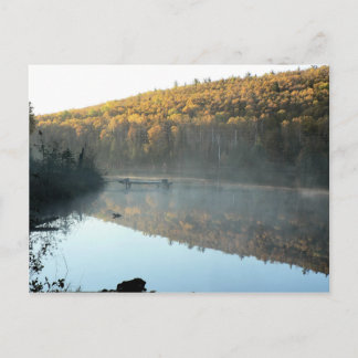 トレスルパインモーニングはがき ポストカード