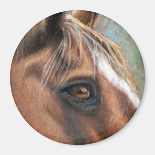 トレズアイマグネット マグネット (正面)