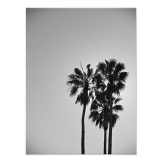 トレソーム フォトプリント