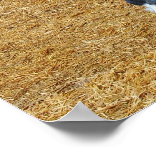 トレッカー ポスター (角)