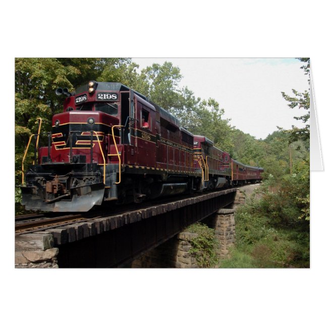 トレッスルのディーゼル2198 (正面横)