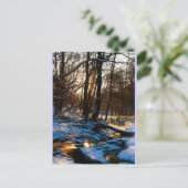 トレッペンバッハ ポストカード (スタンド正面)