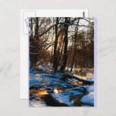 トレッペンバッハ ポストカード (正面/裏面)