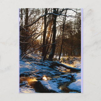 トレッペンバッハ ポストカード