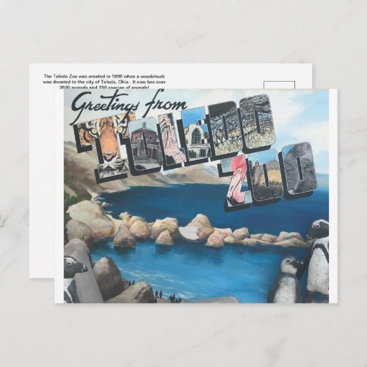 トレド動物園のはがきの挨拶 ポストカード (正面/裏面)
