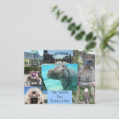 トレド動物園 ポストカード (スタンド正面)