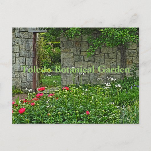 トレド植物園はがき ポストカード (正面)