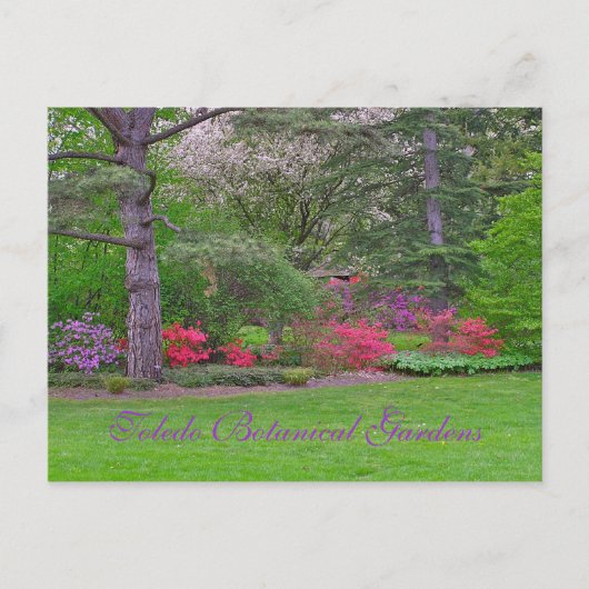 トレド植物園、春、葉書 ポストカード (正面)