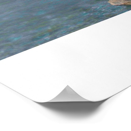 トレビの泉 ポスター (角)