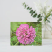 トレフルルージュ ポストカード (スタンド正面)