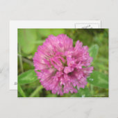 トレフルルージュ ポストカード (正面/裏面)