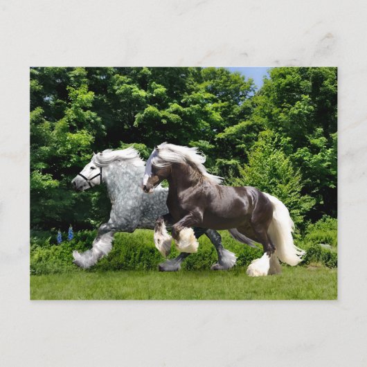 「トレマイヌ&カスピ海」ポストカード ポストカード (正面)