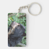 トレマルクトス キーホルダー (裏面)