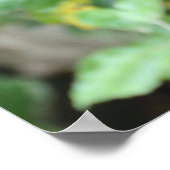 トレマルクトス ポスター (角)