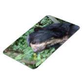 トレマルクトス マグネット (左側)