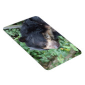 トレマルクトス マグネット (右側)