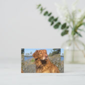 トレラー湿潤 名刺 (スタンド正面)