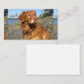 トレラー湿潤 名刺 (正面/裏面)