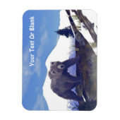 トレリングリズリー マグネット (縦)