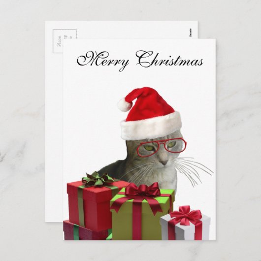 トレンディーおもしろいサンタ賢い猫クリスマス シーズンポストカード (正面/裏面)