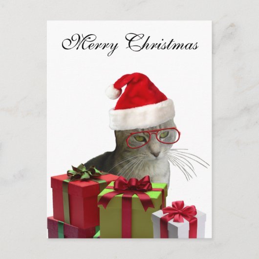 トレンディーおもしろいサンタ賢い猫クリスマス シーズンポストカード (正面)
