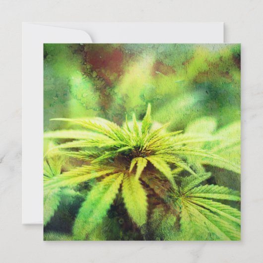 トレンディーな非伝統的な weed ウェディングデザイン 招待状 (裏面)