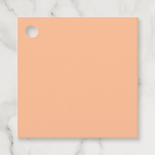 トレンディーカラーピーチファズ無地のカラー |エレガント | フェイバータグ (正面)