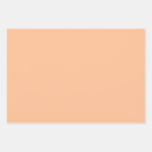 トレンディーカラーピーチファズ無地のカラー |エレガント | ラッピングペーパーシート (正面3)