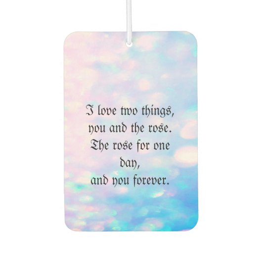 トレンディークールグリッター空気清浄機 カーエアーフレッシュナー (正面)