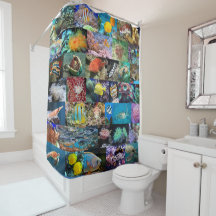 トレンディーサンゴ礁海洋生物：魚と動物