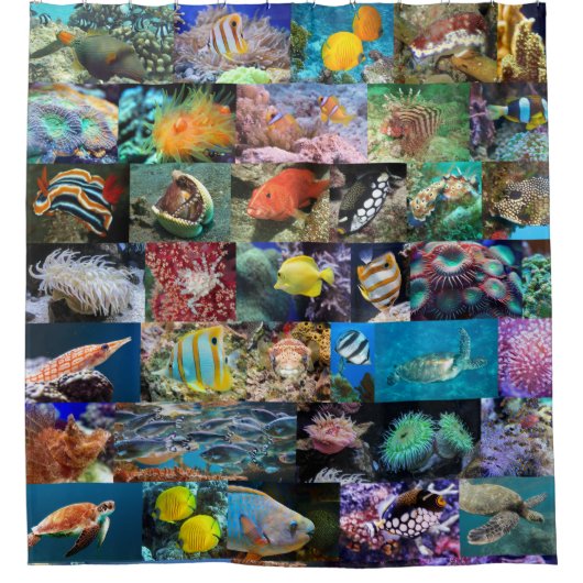 トレンディーサンゴ礁海洋生物：魚と動物 シャワーカーテン (正面)