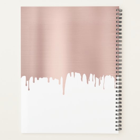 トレンディーバラピンク金ゴールドメタリックドリップスモノグラム プランナー手帳 (裏面)