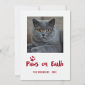 トレンディーペットのクリスマスフォト シーズンカード (正面)