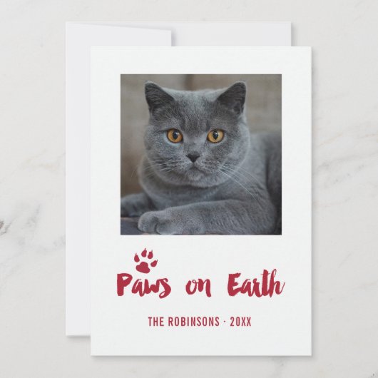 トレンディーペットのクリスマスフォト シーズンカード (正面)